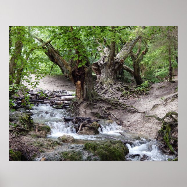 waterfall poster (Front)