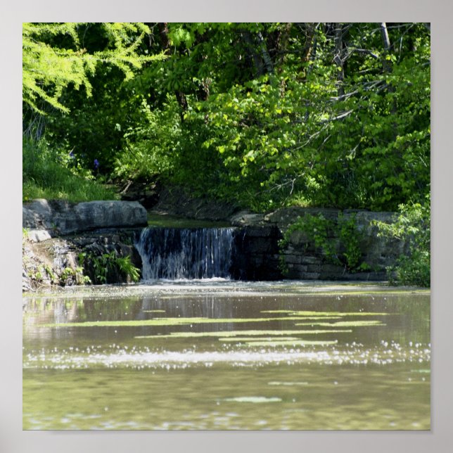 waterfall poster (Front)