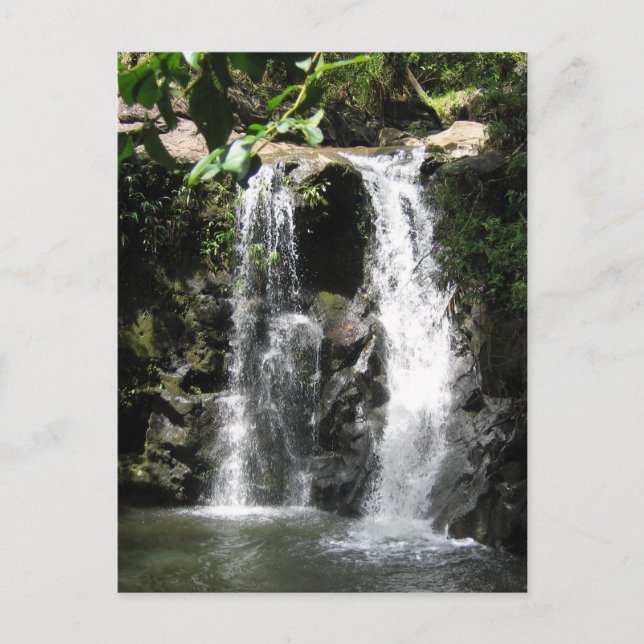 Waterfall Scenes Postcard (Front)