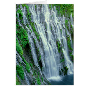 Waterfall scenic, California