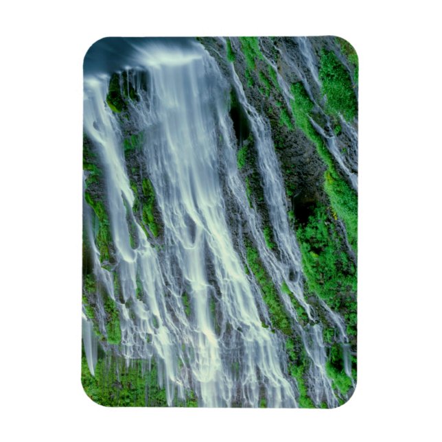 Waterfall scenic, California Magnet (Vertical)