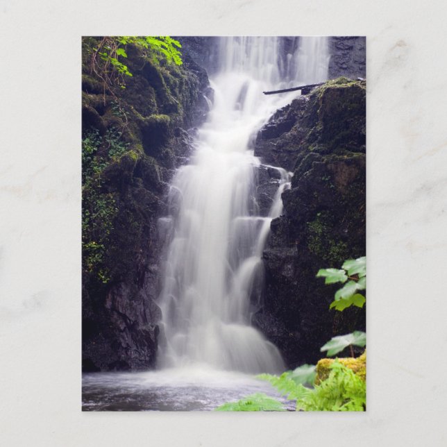 Waterfall, Scotland Postcard (Front)