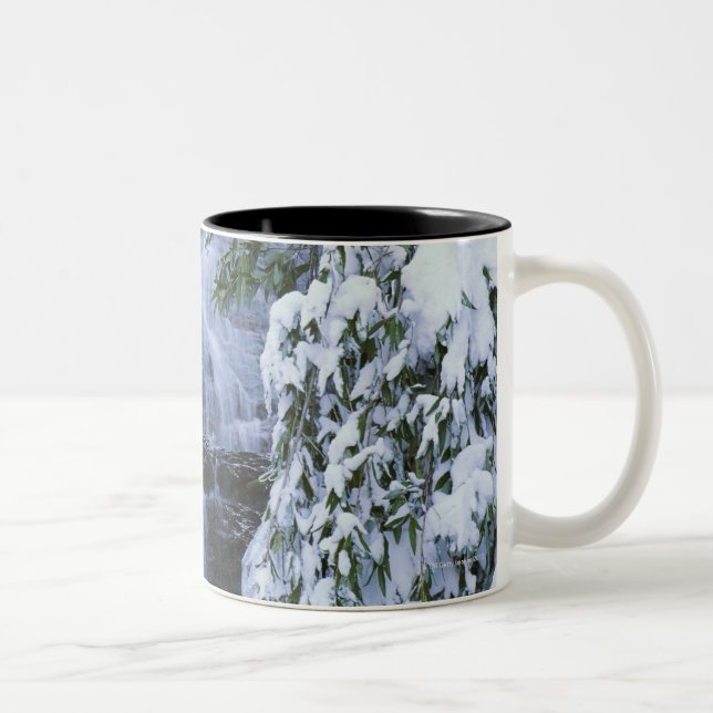 Waterfall, Sequoia and Kings Canyon National Two-Tone Coffee Mug (Right)