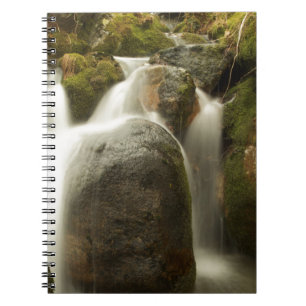 Waterfall Tropical Paradise Water Beach Destiny Notebook