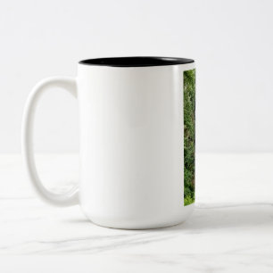 Waterfall Two-Tone coffee mug