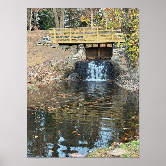 Waterfall with Pond Poster (Front)