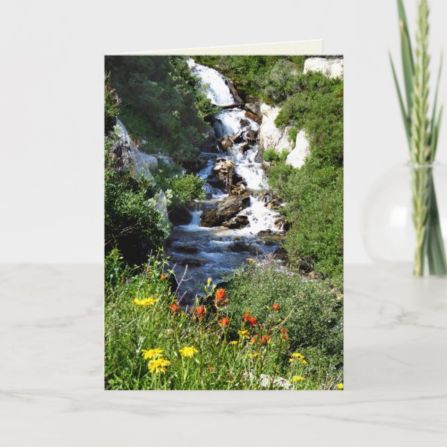 Waterfall with Wildflowers, NV Blank Greeting Card (Front)