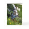 Waterfall with Wildflowers, NV Blank Greeting Card