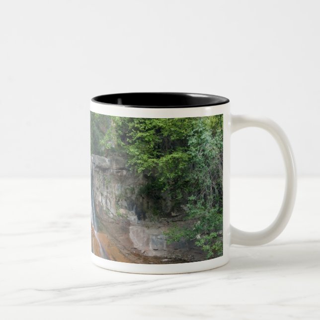 Waterfall, Zion National Park, Utah, USA Two-Tone Coffee Mug (Right)