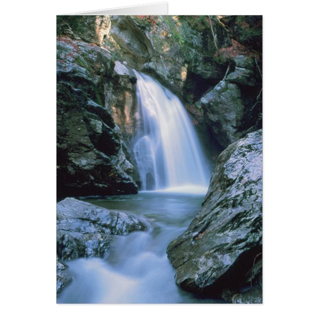 Waterfalls # 100 (Front)