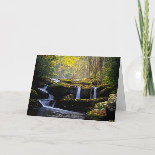 Waterfalls | Great Smoky Mountain National Park Card (Front)