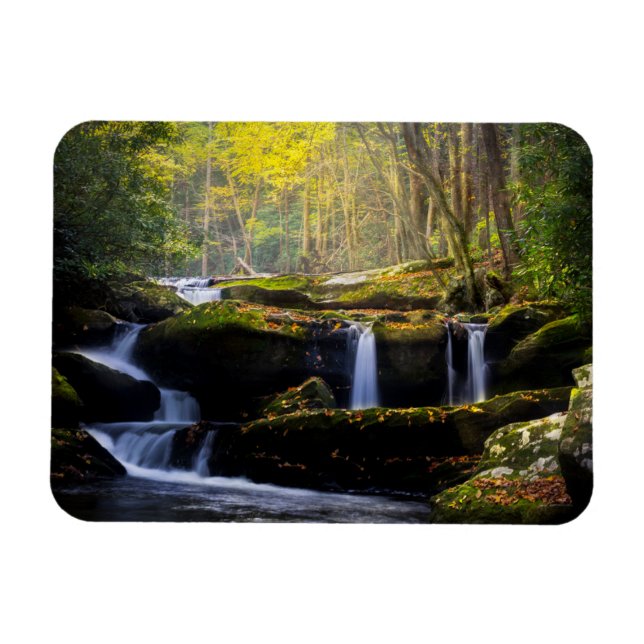 Waterfalls | Great Smoky Mountain National Park Magnet (Horizontal)