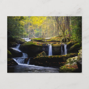 Waterfalls   Great Smoky Mountain National Park Postcard