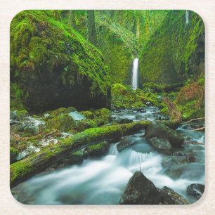 Waterfalls Grotto Falls, Oregon Square Paper Coaster