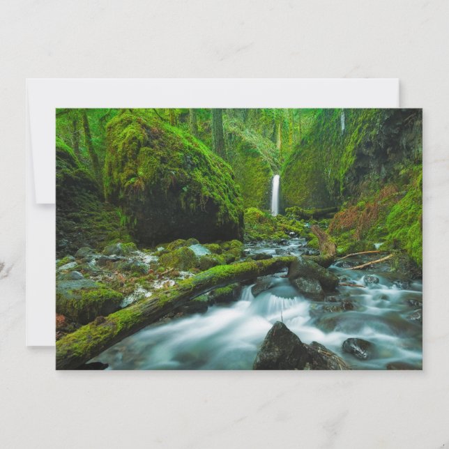 Waterfalls | Grotto Falls, Oregon Thank You Card (Front)