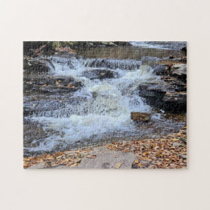 Waterfalls in the Fall Puzzle