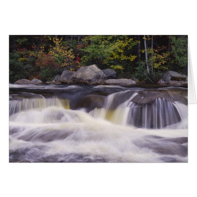 Waterfalls, Kancamagus Highway, White (Front Horizontal)