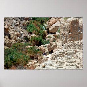 Waterfalls of Ein Gedi in Judean Desert, Israel Poster