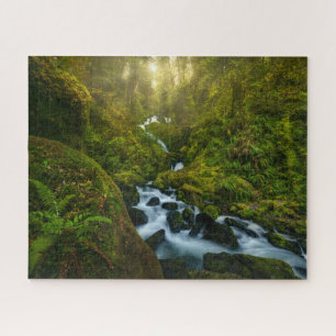 Waterfalls   Olympic National Park, Washington Jigsaw Puzzle