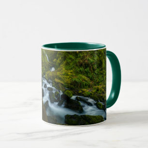 Waterfalls Olympic National Park, Washington Mug