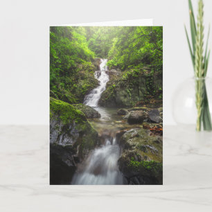Waterfalls Phayao Mountain National Park Card