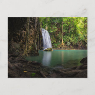 Waterfalls   Spring Rainforest Waterfall Thailand Postcard