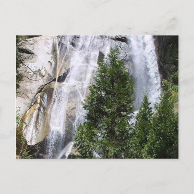 Waterfalls Trees Postcard (Front)
