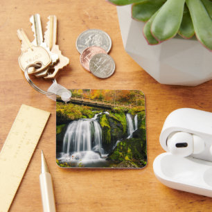 Waterfalls Triberg Waterfalls, Germany Key Ring