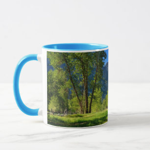 Waterfalls   Yosemite Falls, California Mug