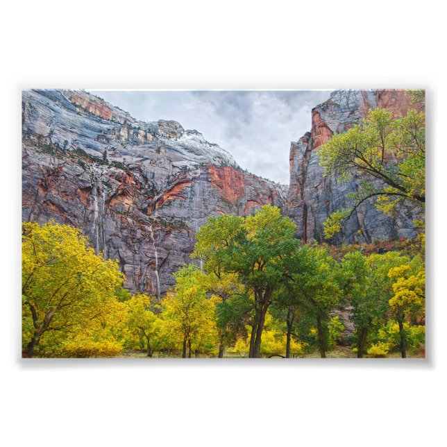 Waterfalls, Zion National Park, Utah Photo Print (Front)