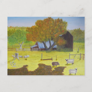 Waterford Barn & Sheep Postcard
