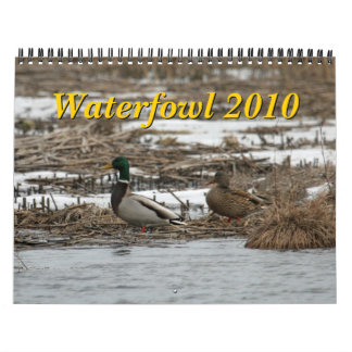 Waterfowl 2010 Calendar