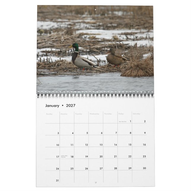 Waterfowl 2011 Calendar (Jan 2027)