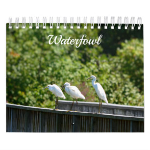 Waterfowl Calendar