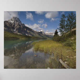 Waterfowl lake along the Icefields parkway, Poster
