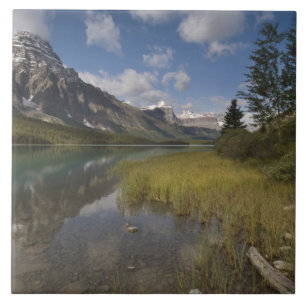 Waterfowl lake along the Icefields parkway, Tile