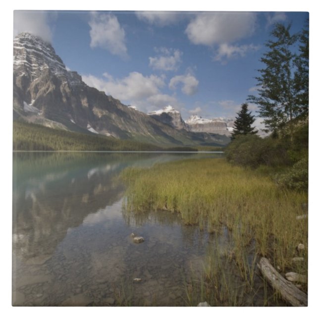 Waterfowl lake along the Icefields parkway, Tile (Front)