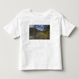 Waterfowl lake along the Icefields parkway, Toddler T-Shirt