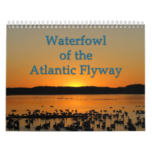 Waterfowl of the Atlantic Flyway Calendar