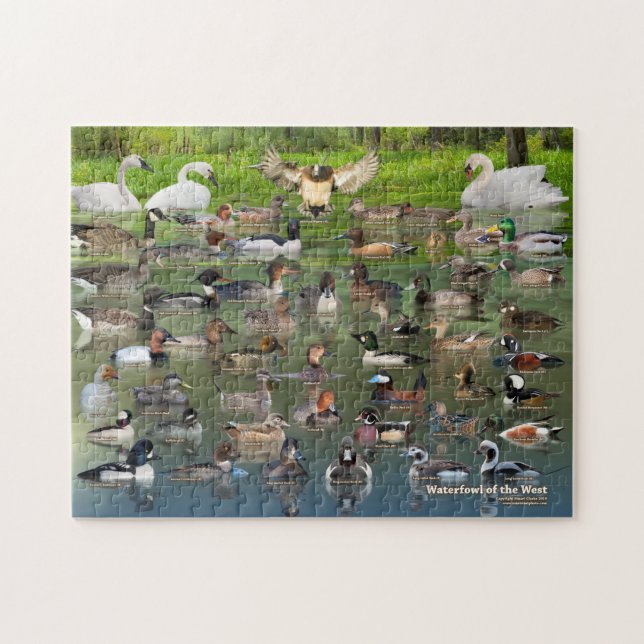 Waterfowl of the West Jigsaw Puzzle (Horizontal)