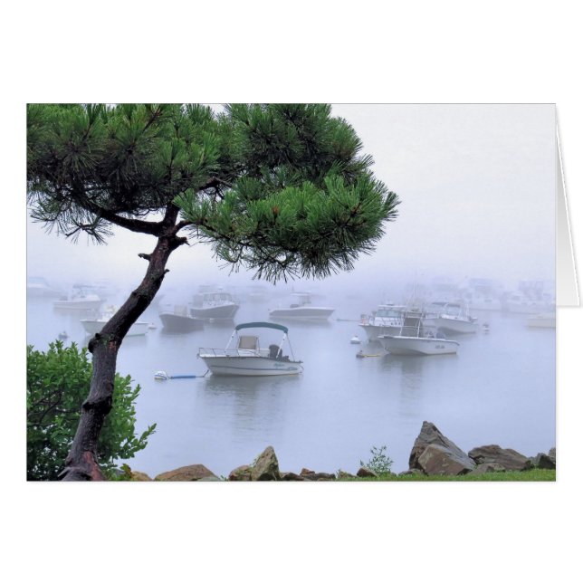 Waterfront Fog (Front Horizontal)