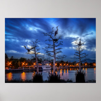 Waterfront Herons Poster