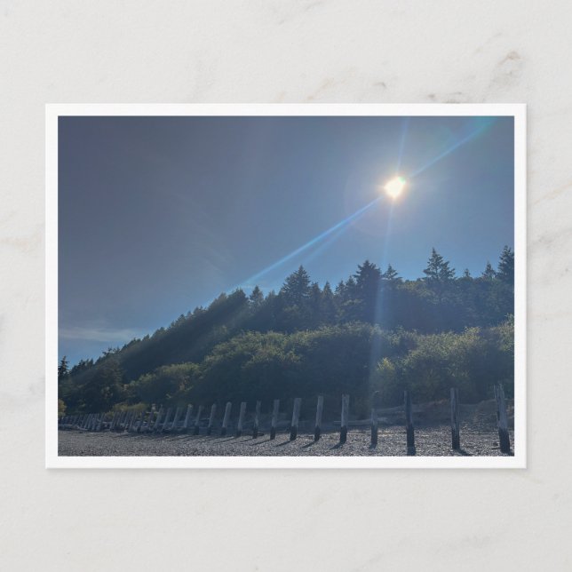 Waterfront  postcard (Front)