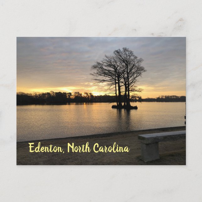Waterfront Postcard, Edenton, North Carolina Postcard (Front)