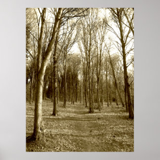 Waterhouses Wood Poster