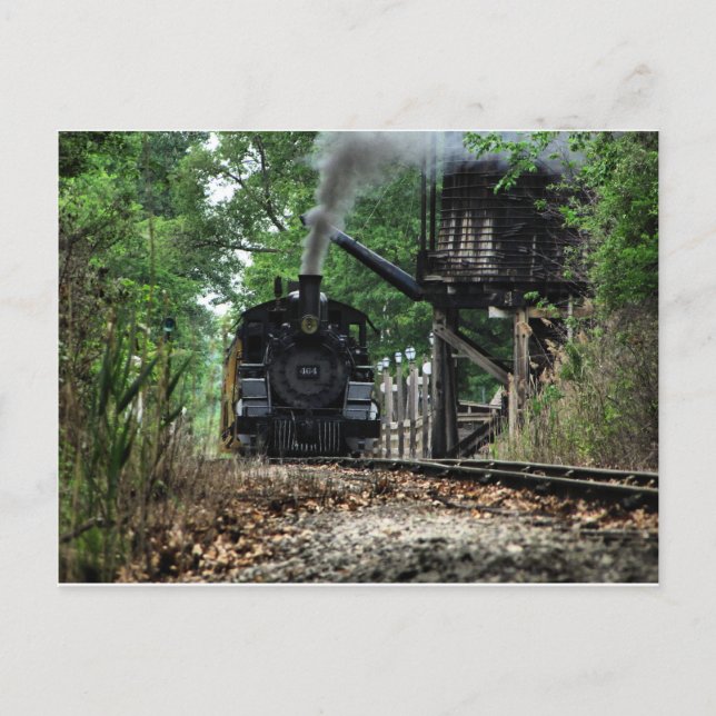 Watering Hole Postcard (Front)