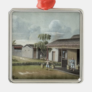 Watering tea plants (w/c on paper) metal tree decoration