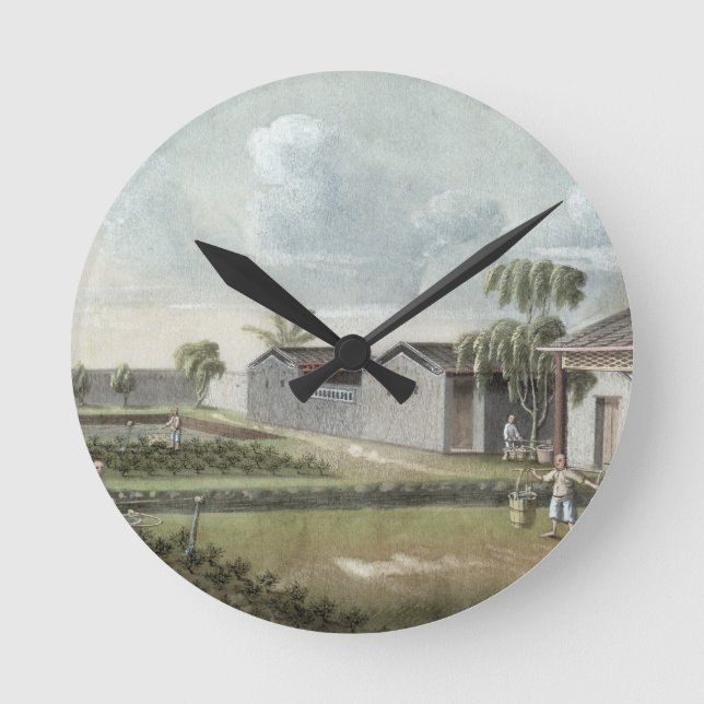 Watering tea plants (w/c on paper) round clock (Front)