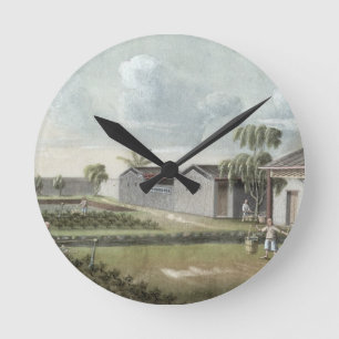 Watering tea plants (w/c on paper) round clock