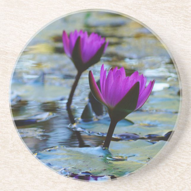 Waterlilies Coaster (Front)